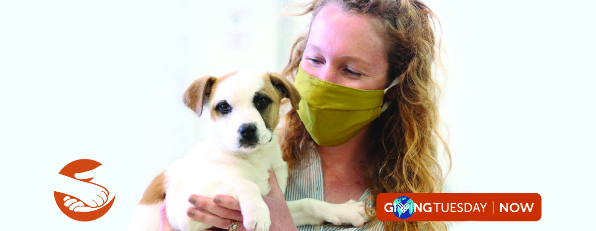 GivingTuesday Now 